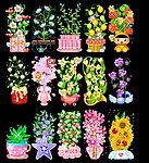 45张漂亮盆花动画