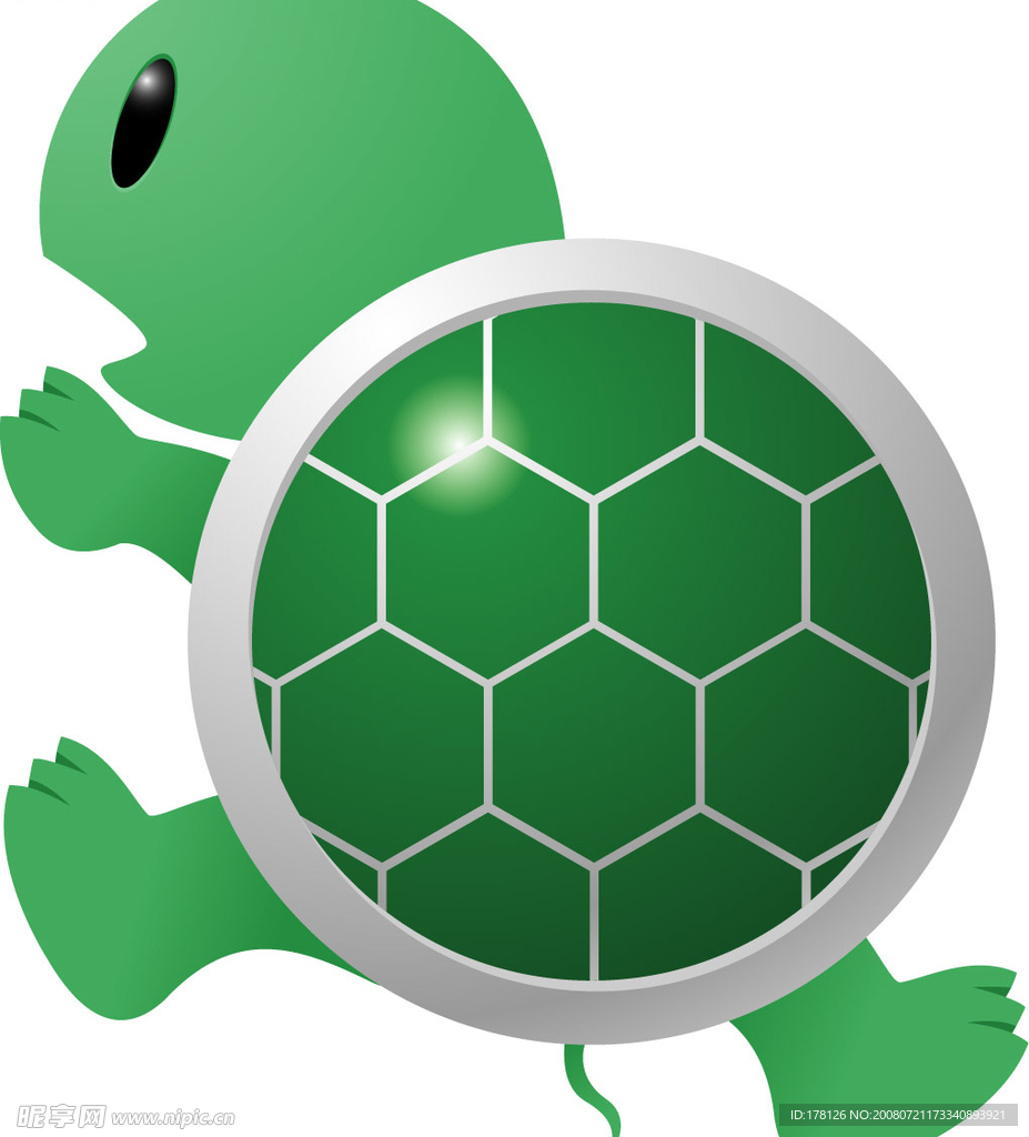 绿壳小乌龟