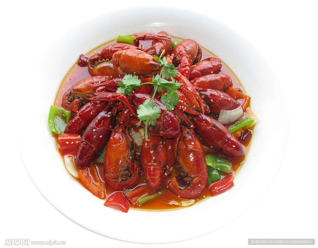 美味龍蝦