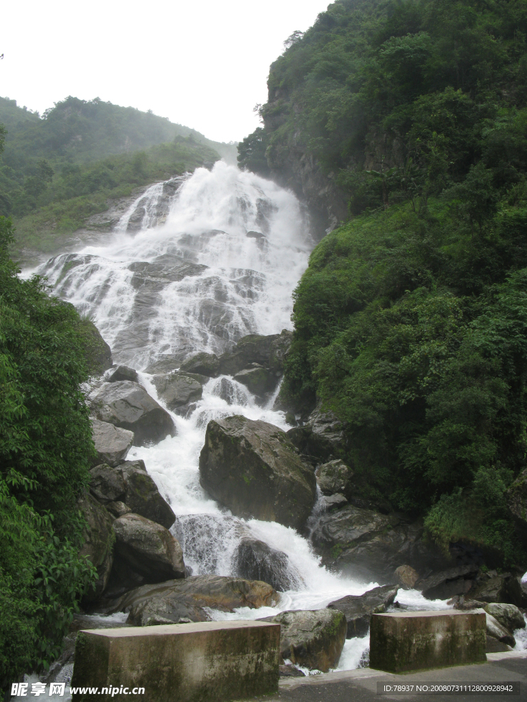 熱帶雨林 山澗小溪