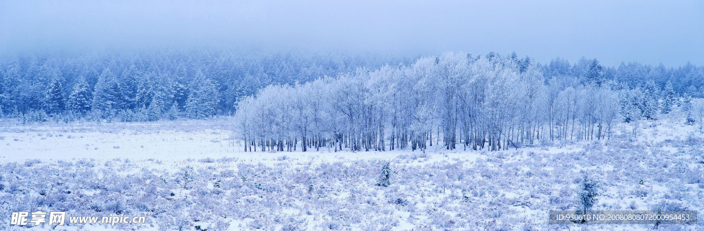 森林雪景