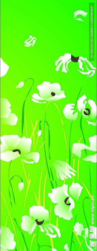 蝴蝶花