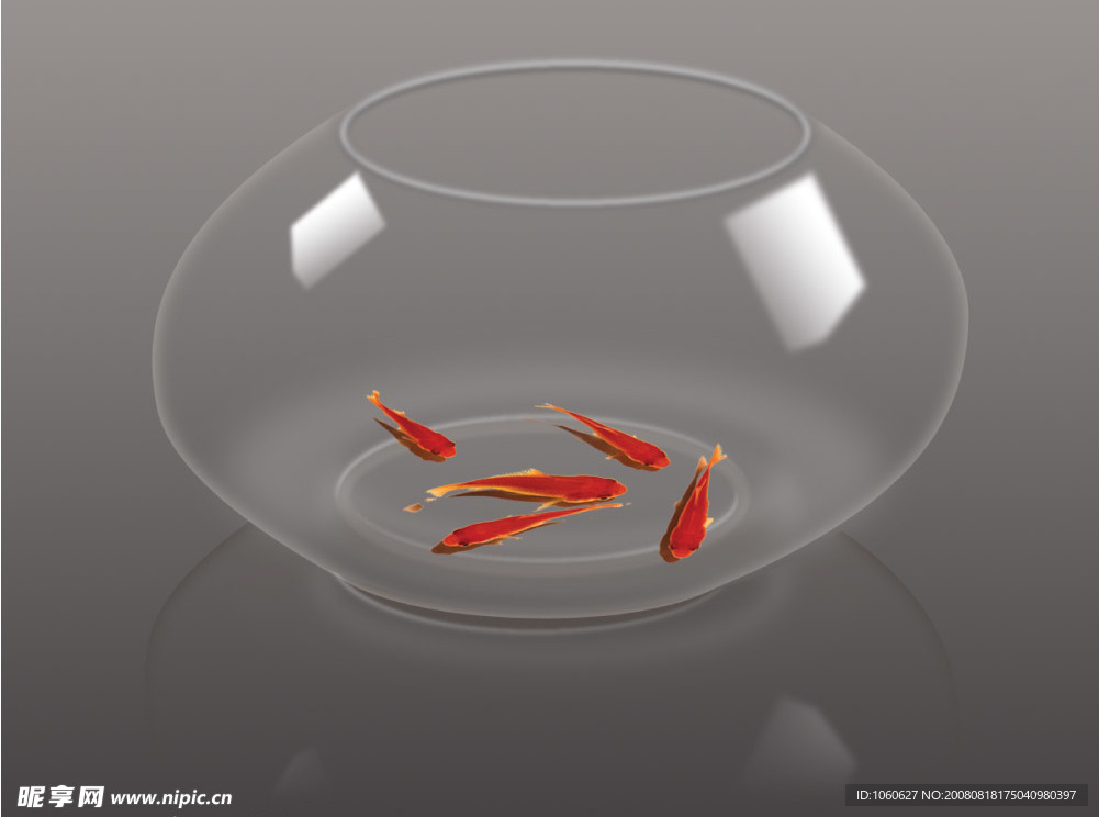 魚和魚缸