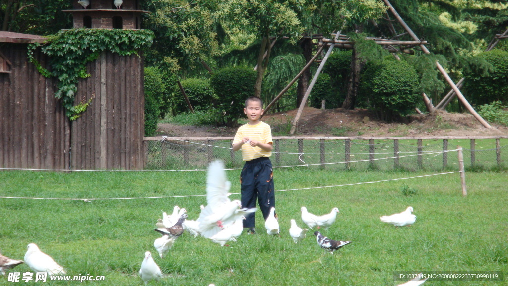 飛翔