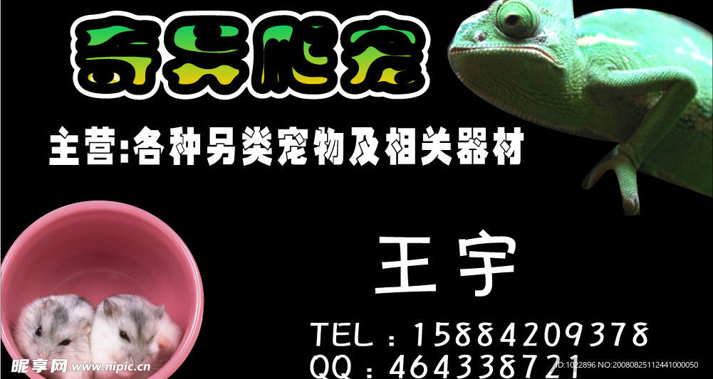 奇異爬寵名片