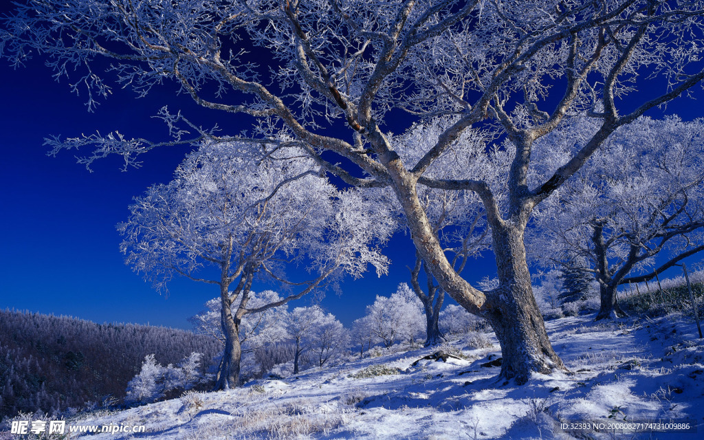 藍天雪景