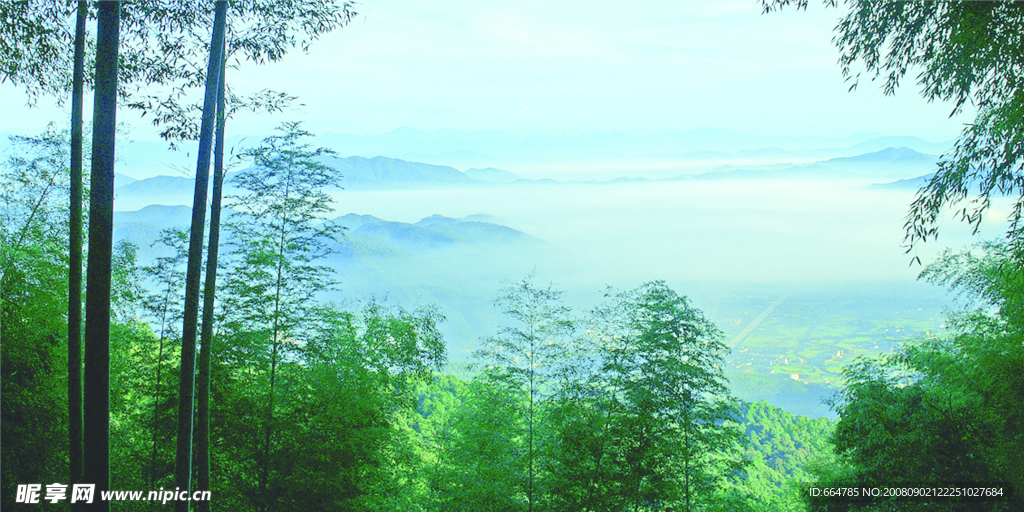 山城竹林
