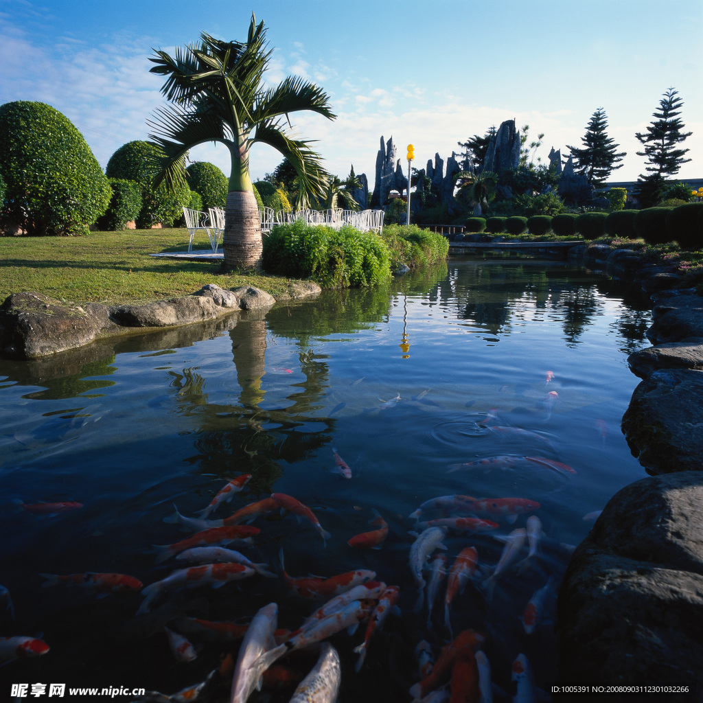 中式園林水系