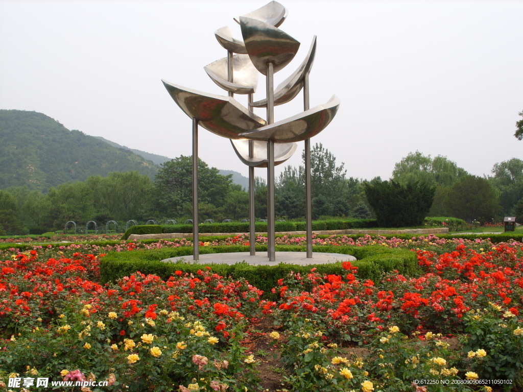 月季花雕塑