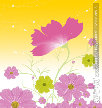 花海