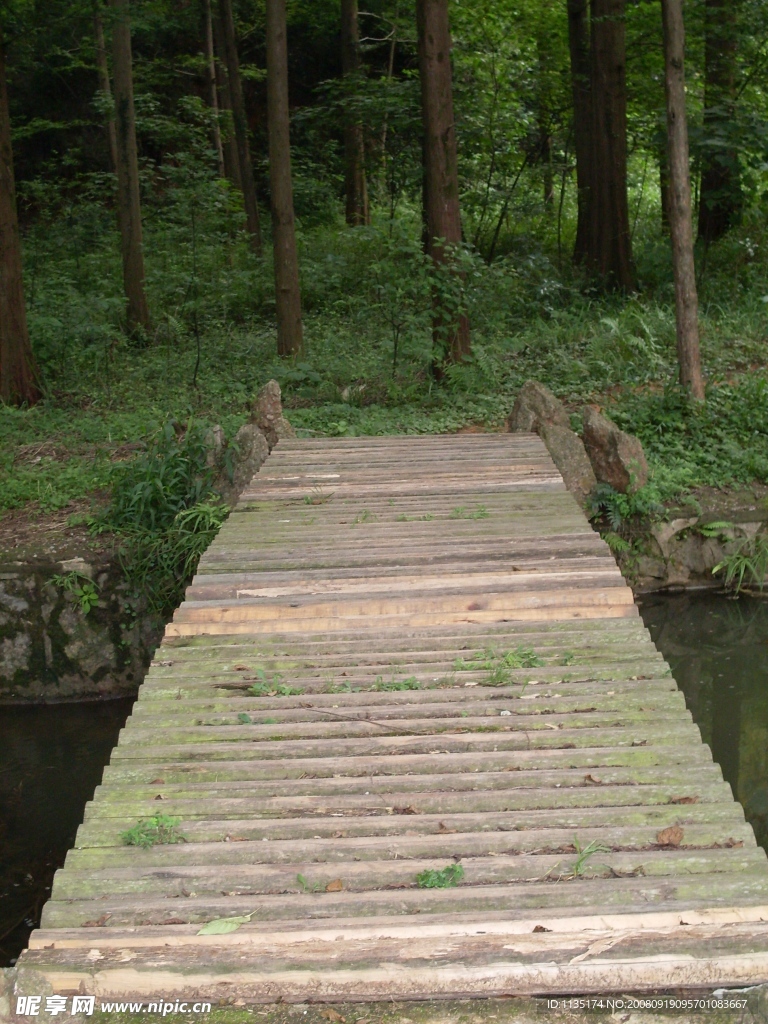 木橋