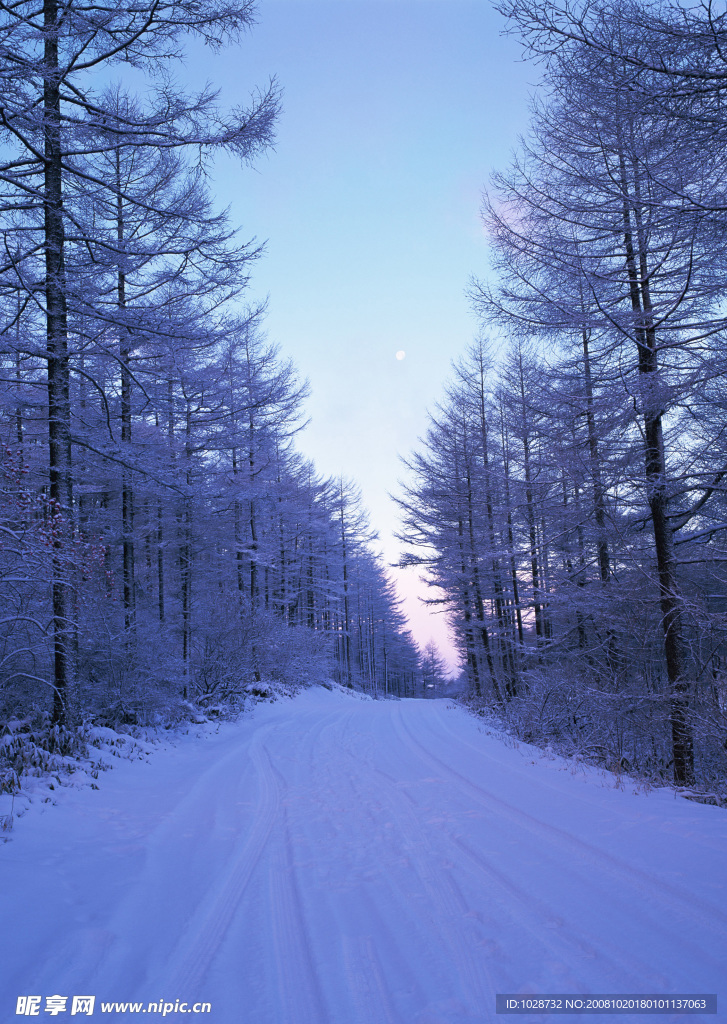 雪路