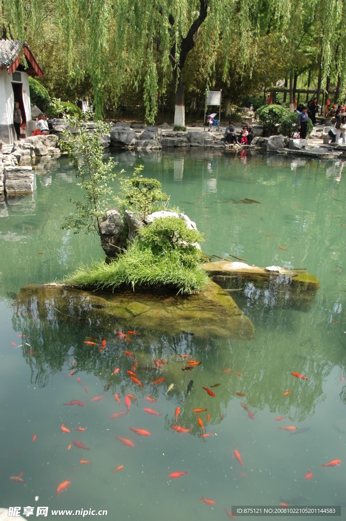 水中小島