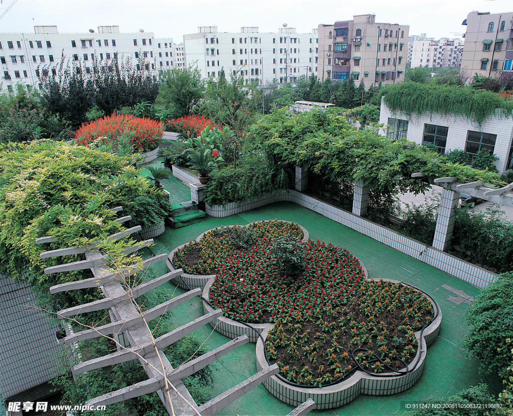 花壇 樹木 天空 城市 房子 后院