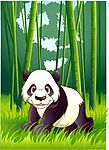 森林熊猫