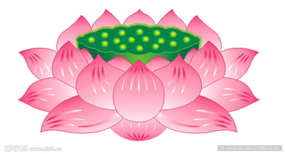 蓮花矢量圖