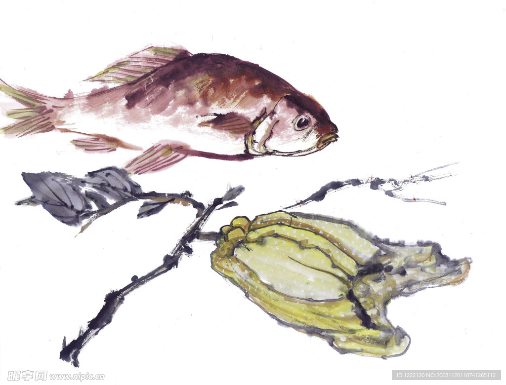國(guó)畫(huà)魚(yú)類