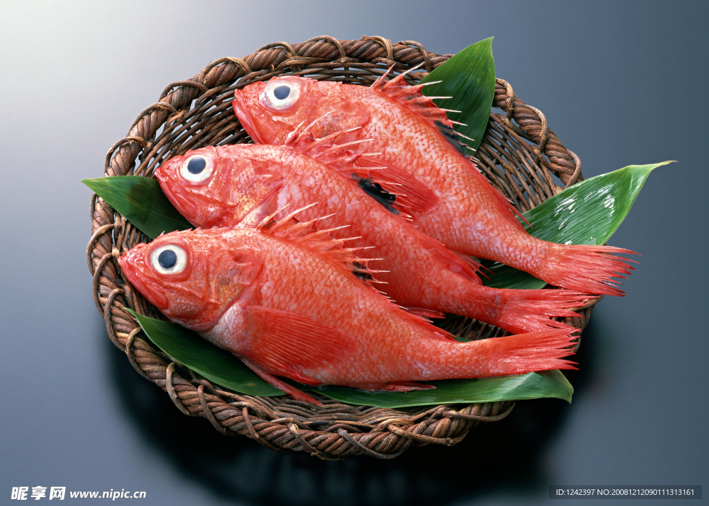 海洋生物海鮮 紅魚