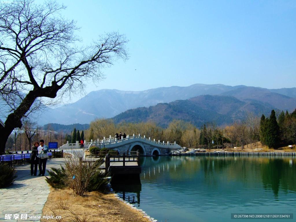 古樹小橋流水遠山