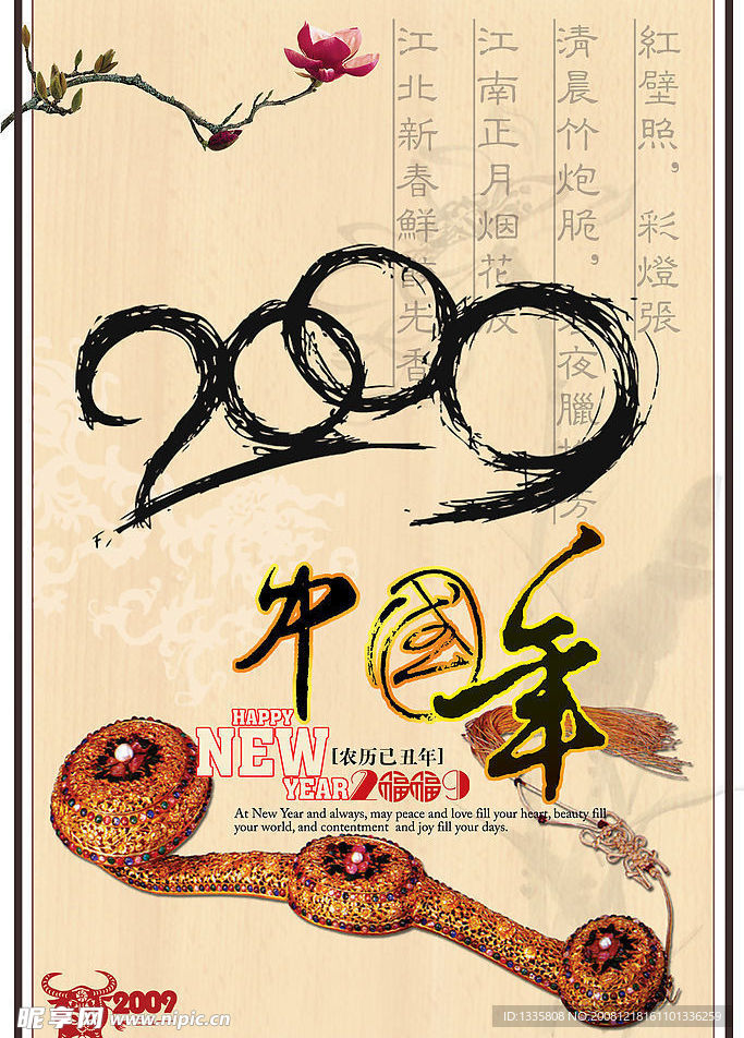 2009中国年