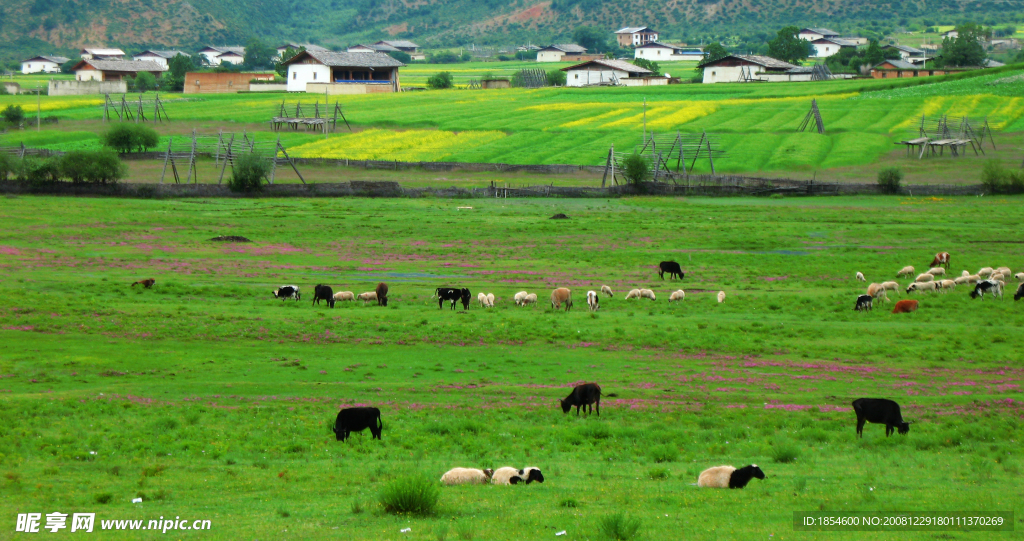 香格里拉