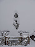 冬天雪景