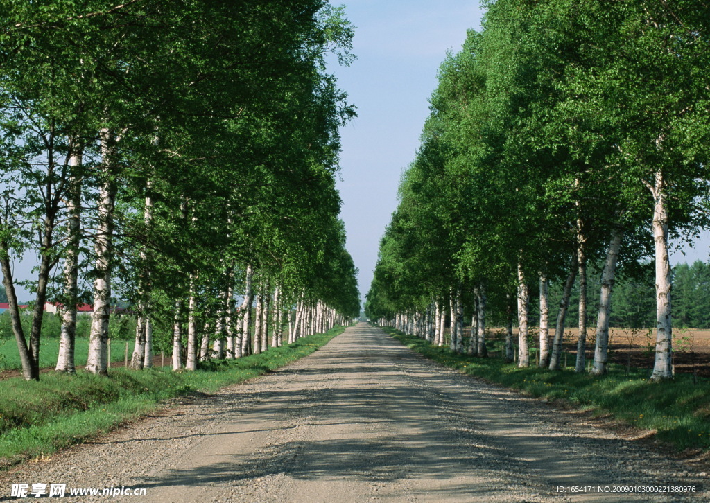 鄉間小路