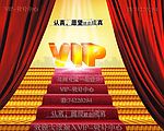 高贵的VIP