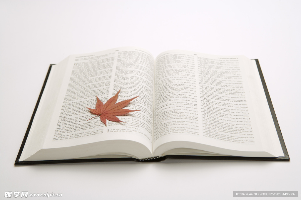 靜物書