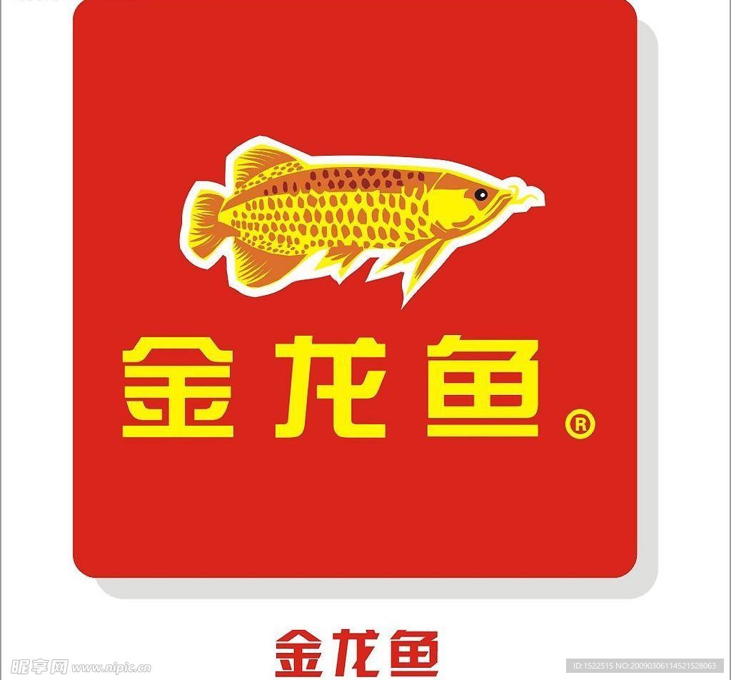 金龍魚