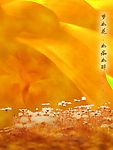 夢幻背景2