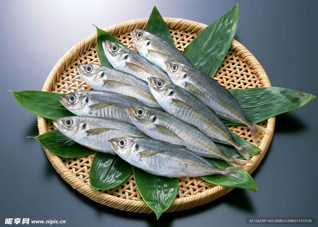 海洋生物海鮮 鰻魚