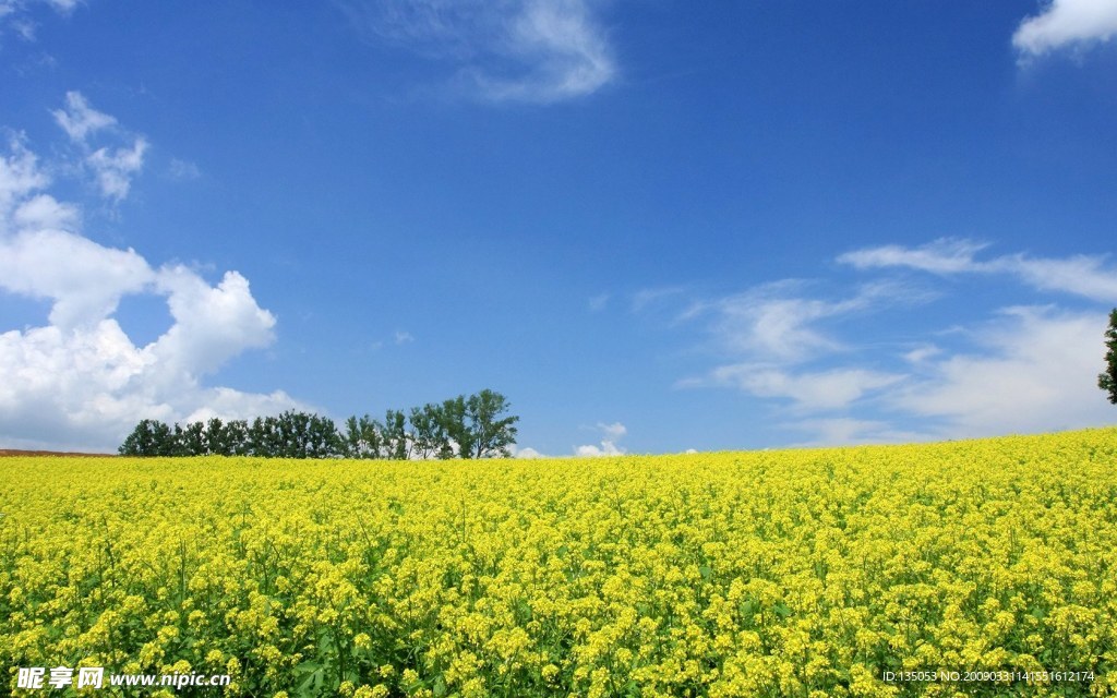 日本北海道郊外