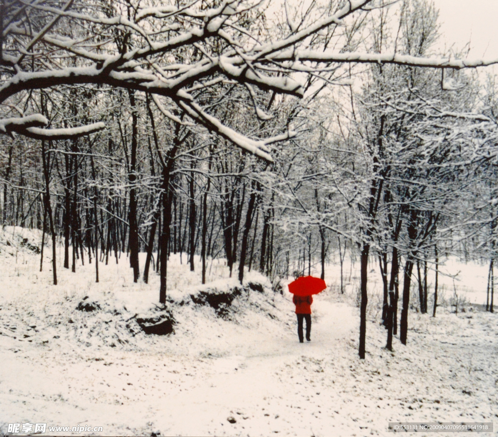 人物  雪地  樹林