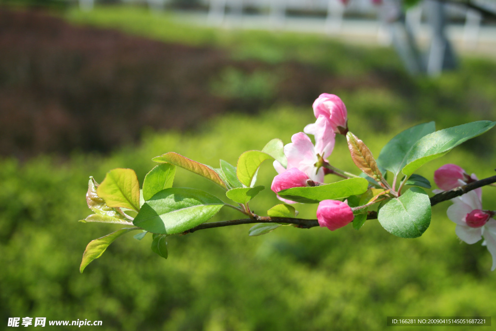 春暖花開