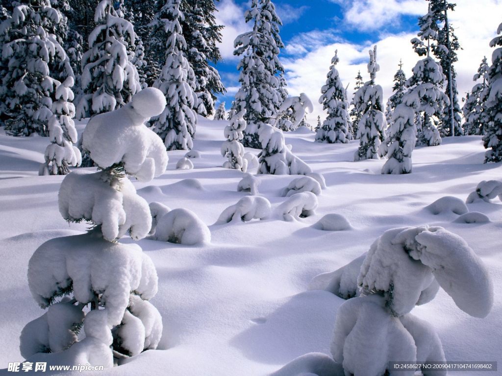 雪景