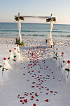 结婚 海滩