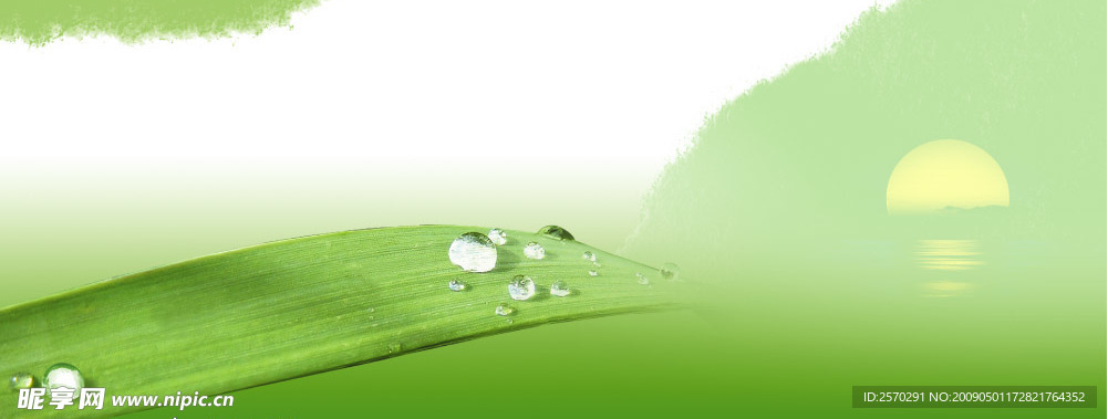 綠葉上的水珠