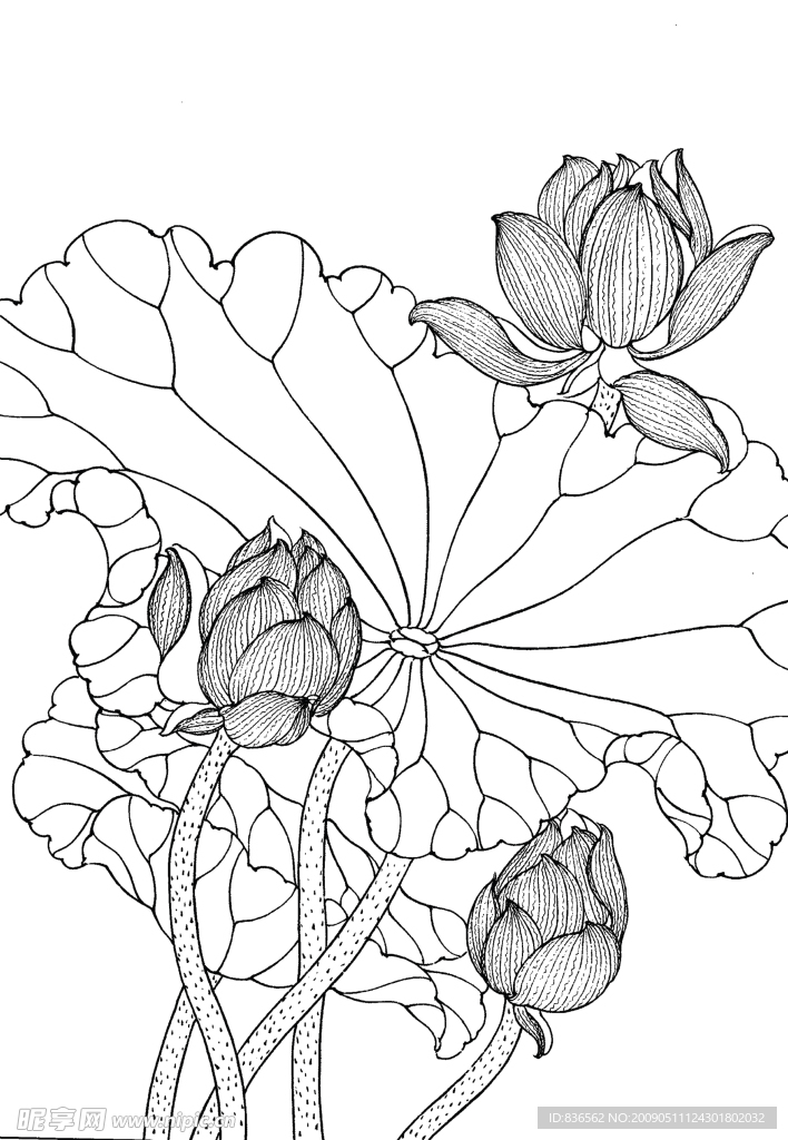 花卉畫譜