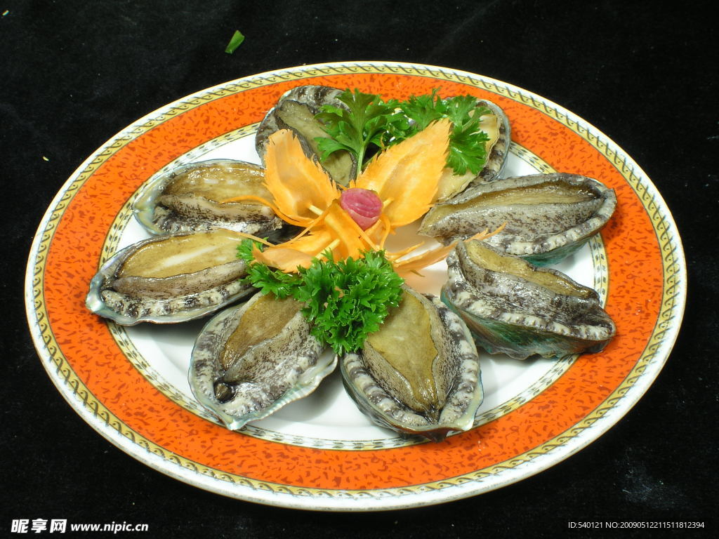 生蠔 鮑魚