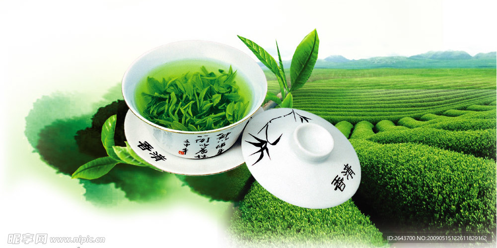 綠茶