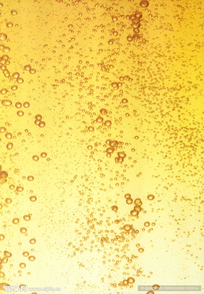 啤酒泡