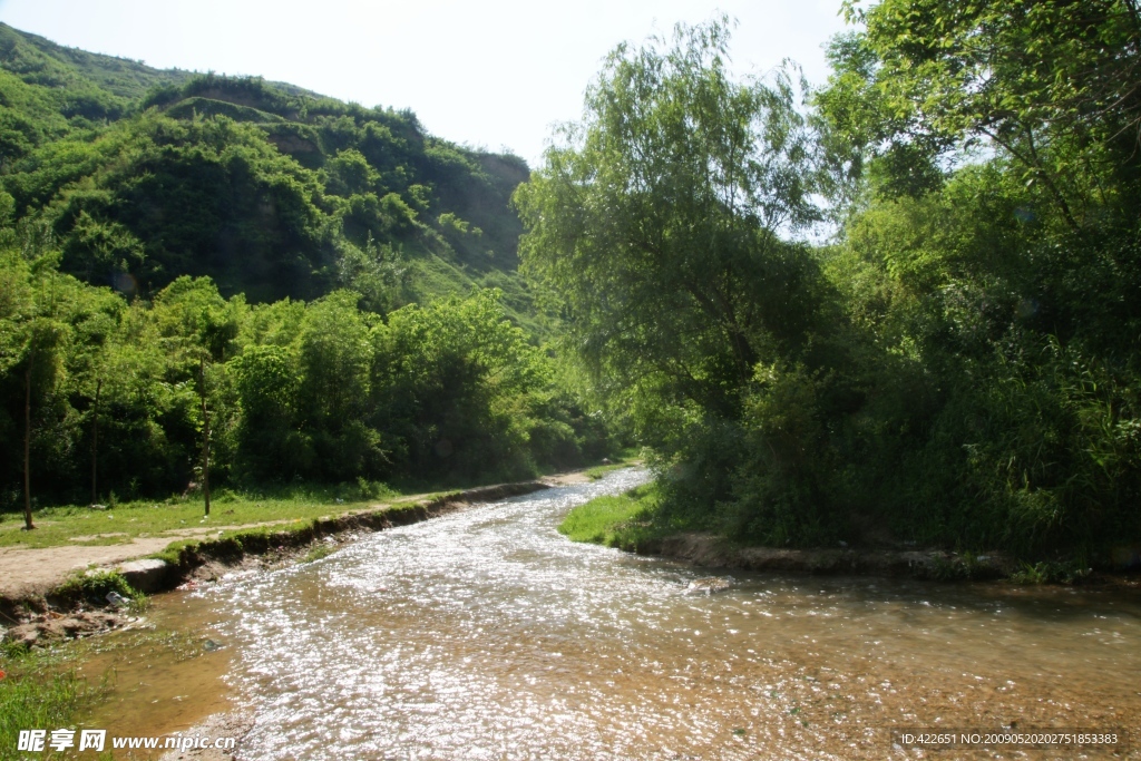 鯨魚溝