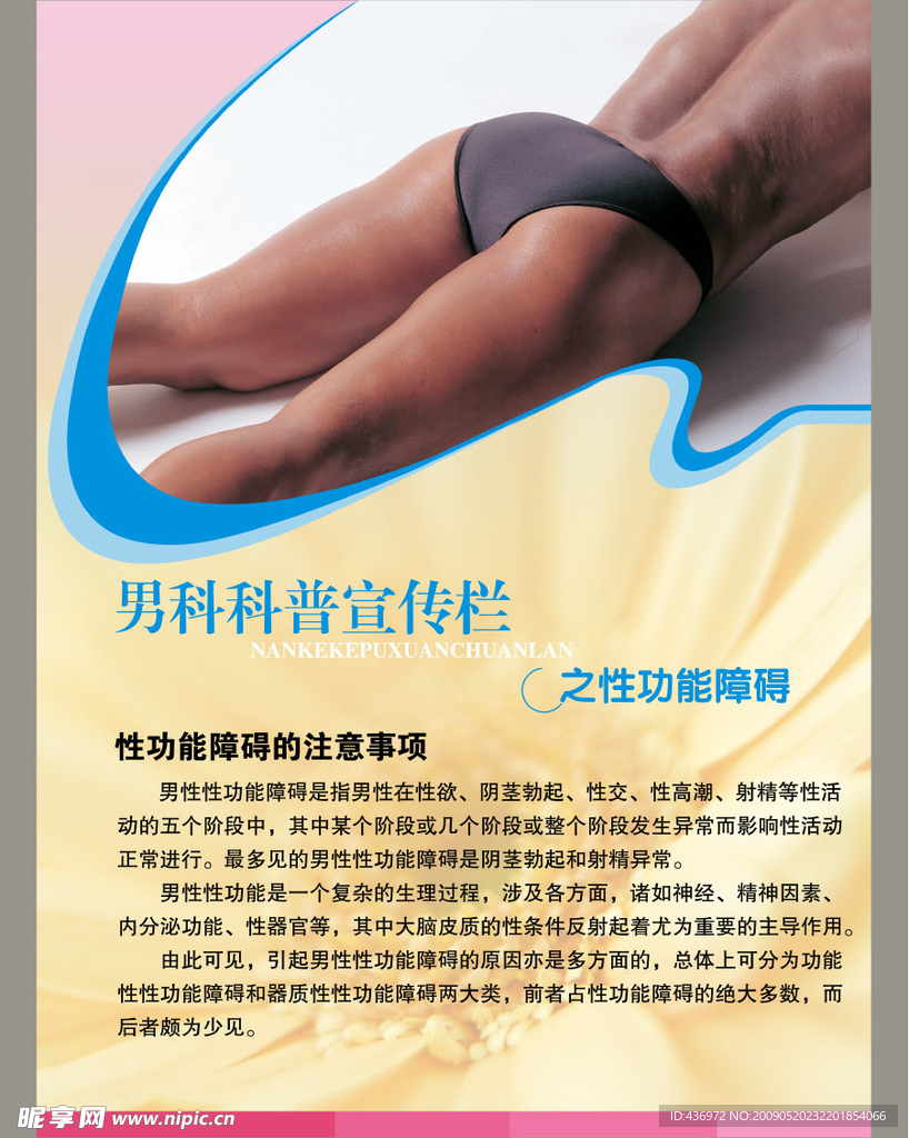 保健版面