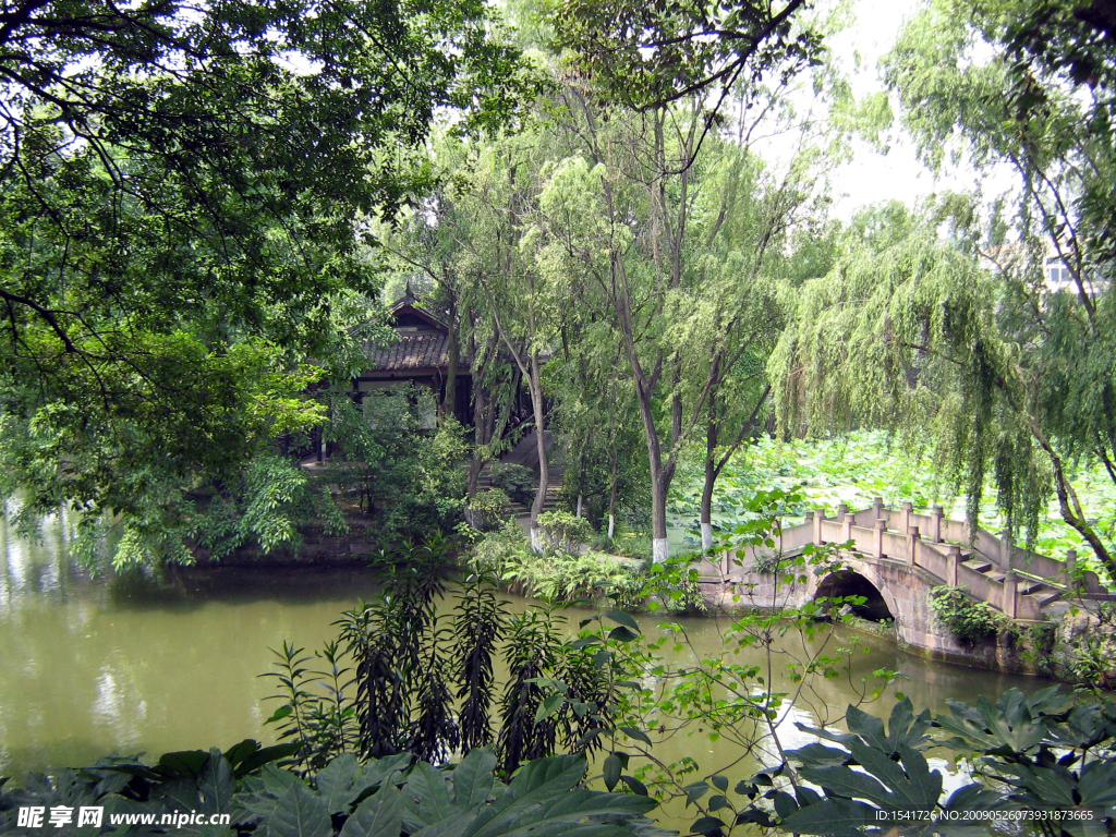 夏日風景