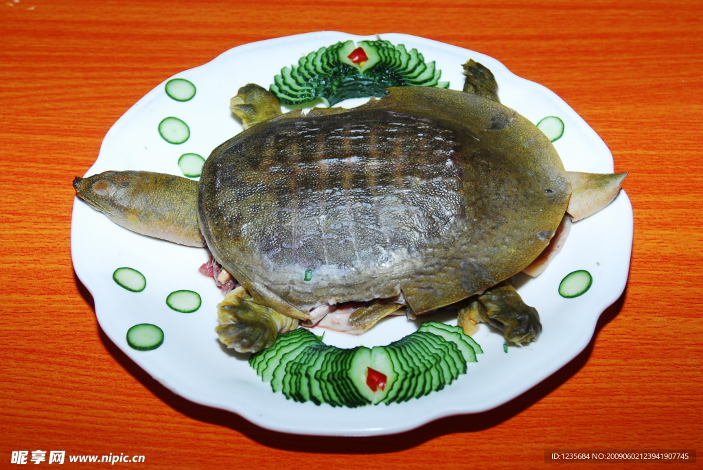 黃山甲魚