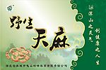 天麻