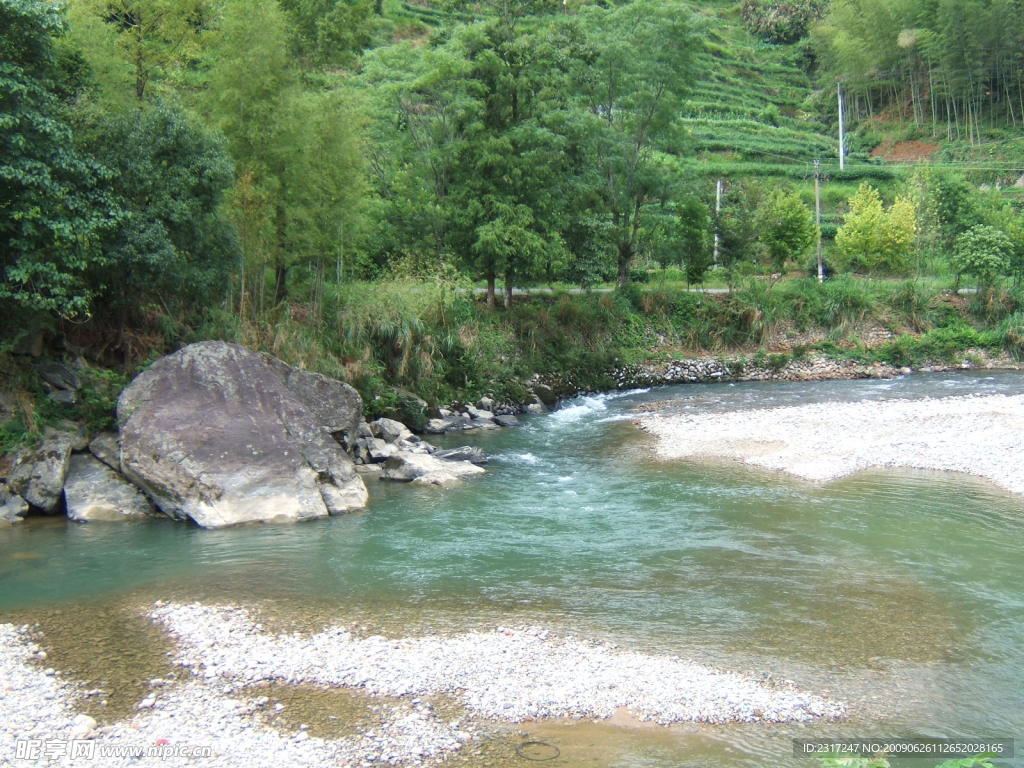 原生態