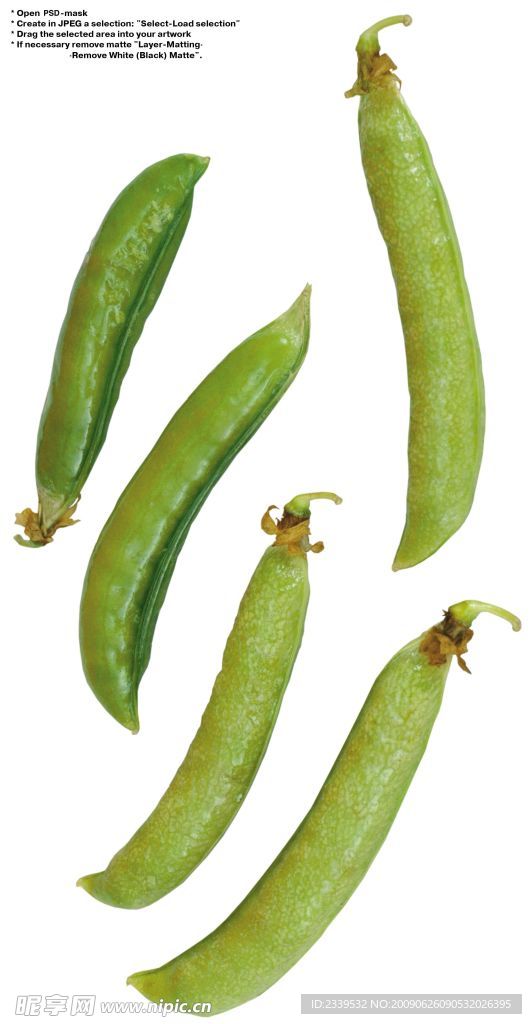 荷蘭豆