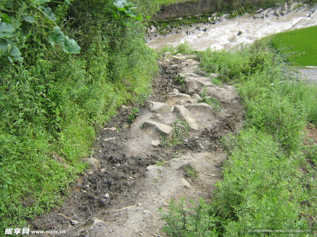 上山小路